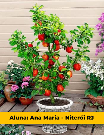 Aluna Ana Maria