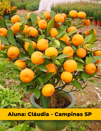 Aluna Claudia