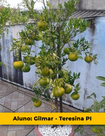 Aluno Gilmar