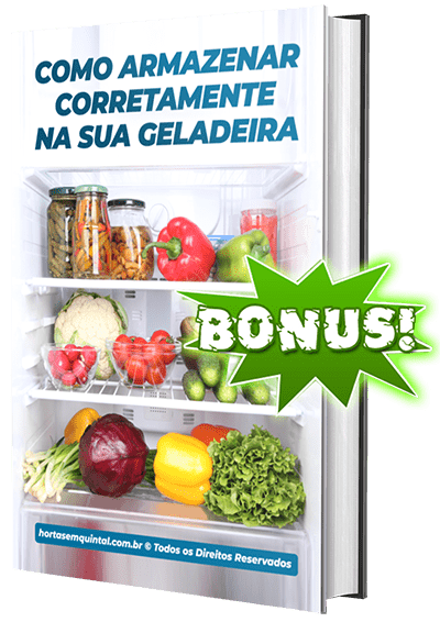 Bonus 1
