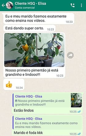 Depoimento - Elisa Depoimento Evelyn
