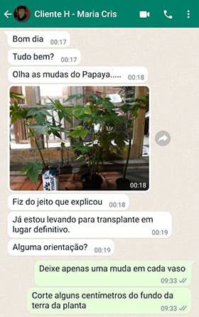 Depoimento - Maria Cris Depoimento Patricia