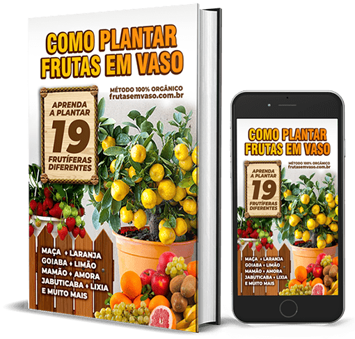 Frutas em Vaso Mokup 2 Site Cliente Frutas em Vaso