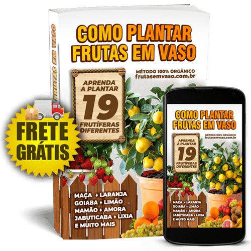Livro: Como Plantar Frutas em Vaso Livro: Como Plantar Frutas em Vaso